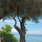Apartment Beachfront Romantica Place Ground Floor