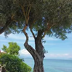 Διαμέρισμα Beachfront Romantica Place Ground Floor Αγία Πελαγία Χλωμού