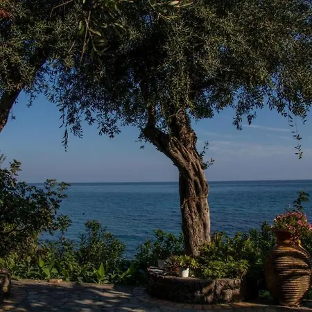 Apartment Beachfront Romantica Place Ground Floor