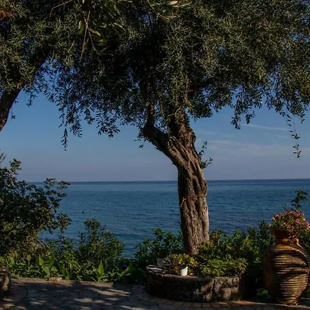 Beachfront Romantica Place Ground Floor Apartment Agia Pelagia Chlomou