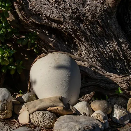 Beachfront Romantica Place Ground Floor Agia Pelagia Chlomou