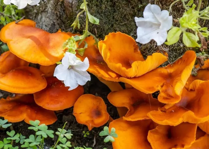 Beachfront Romantica Place Ground Floor Agia Pelagia Chlomou