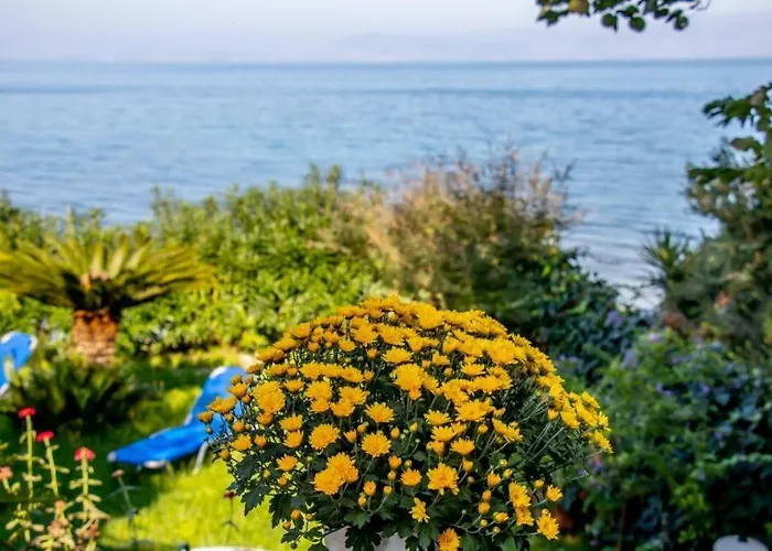 Beachfront Romantica Place Ground Floor Apartment Agia Pelagia Chlomou