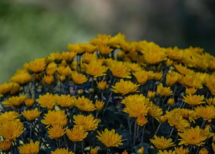 Beachfront Romantica Place Ground Floor * Agia Pelagia Chlomou