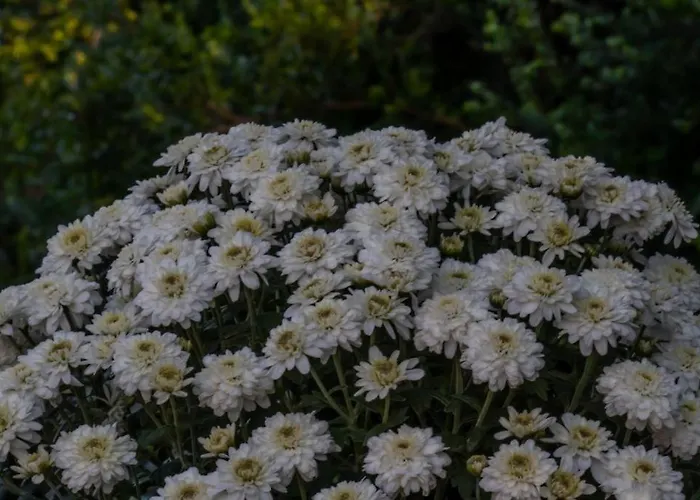 Beachfront Romantica Place Ground Floor Agia Pelagia Chlomou