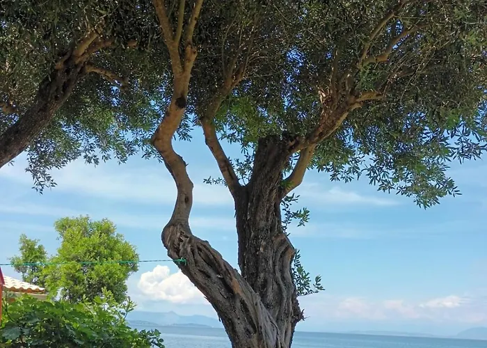 Apartment Beachfront Romantica Place Ground Floor